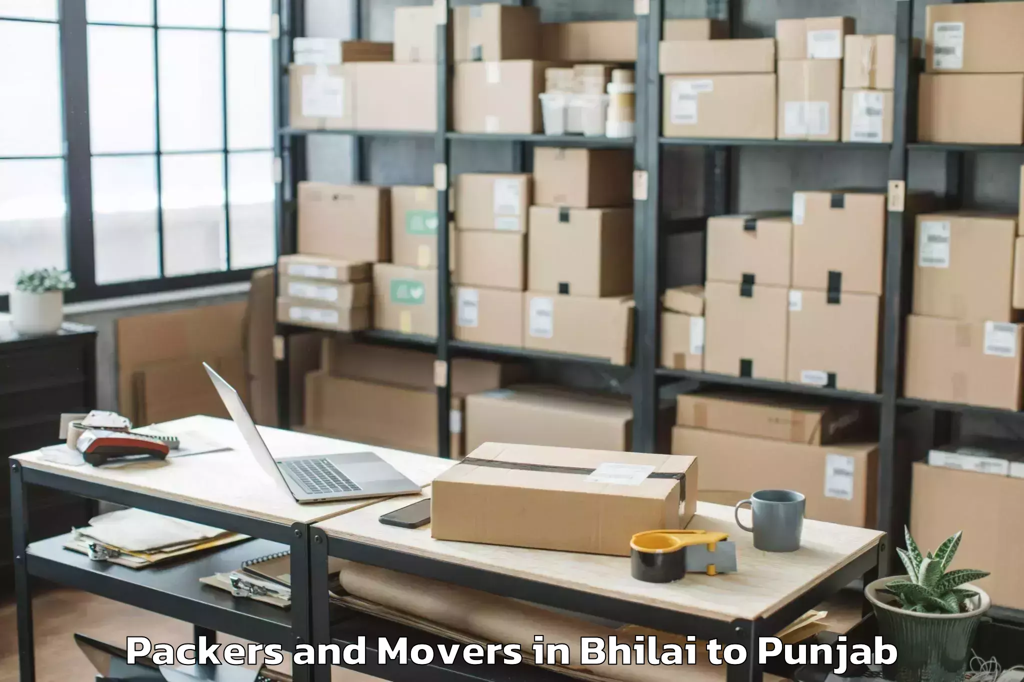 Quality Bhilai to Ropar Packers And Movers